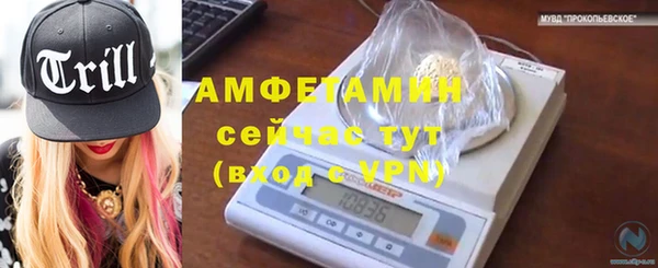 сатива Алексеевка