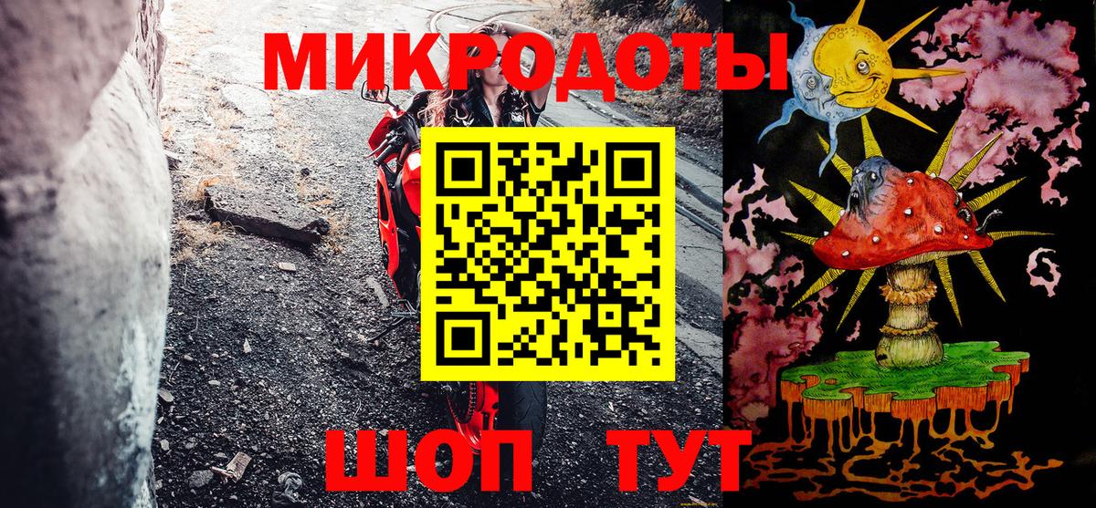 Псилоцибиновые грибы Psilocybine cubensis  Вход с VPN  Галлюциногенные грибы MAGIC MUSHROOMS  Камень-на-Оби 